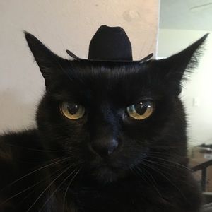 Meet your Posher, Nancy